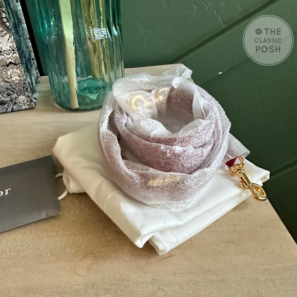 BNWT DIOR TRAVEL VANITY LAMBSKIN SMALL  LEATHER CROSSBODY BAG - Picture 9 of 12